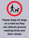 please-keep-all-dogs-on-a-lead-as-they-can-disturb-ground-nesting-birds-and-thei~